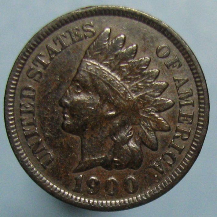 A-Beautiful-Indian-Head-Cent-In-The-Woods